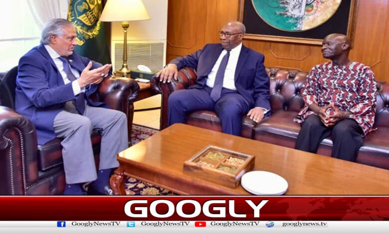 UN Secretary-General candidate meets Ishaq Dar