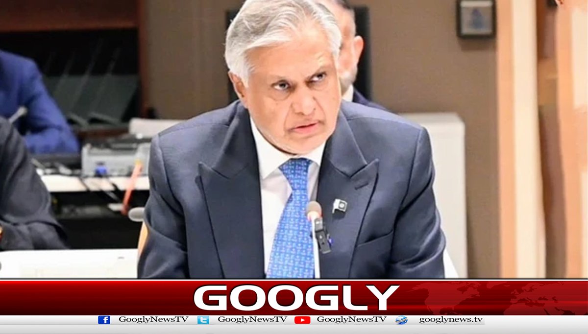 اسحاق ڈارنےاسرائیلی آبادکاری کوفلسطینیوں کیلئےخطرہ قرار دیدیا