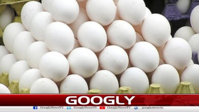 Gulf countries ban Pakistani eggs