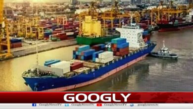 Exports of rice, sugar, cotton, onion, sesame, and potatoes decreased.