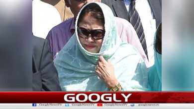 There will be no compromise on the division of Sindh, Faryal Talpur
