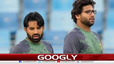 Imam-ul-Haq and Rizwan out of domestic cricket