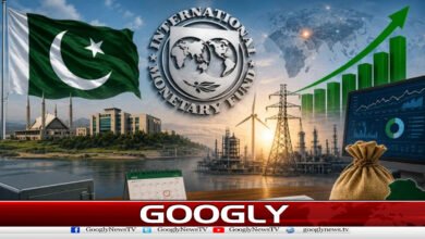 Government assures IMF of achieving tax target