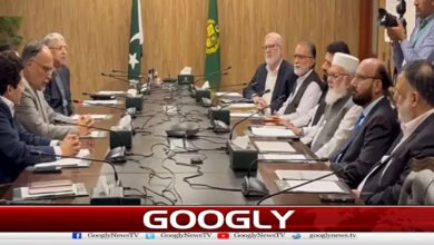 Jamaat-e-Islami proposes to government to reduce petroleum levy