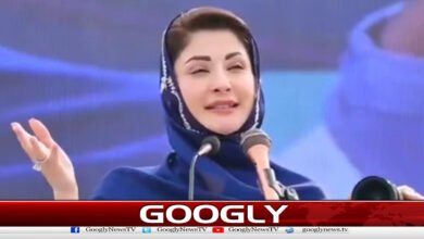 Statement against provinces, petition filed against Maryam Nawaz in Peshawar