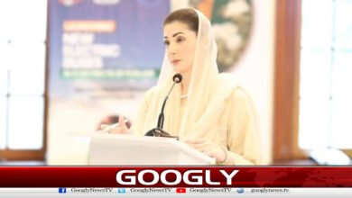 مریم نواز نے سہیل آفریدی کے دورہ پنجاب کوناکام قرار دیدیا 2 Maryam Nawaz calls Sohail Afridi's visit to Punjab a failure