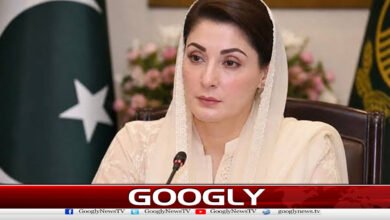 If the provinces work hard for the services of the people, it will be seen, Maryam Nawaz