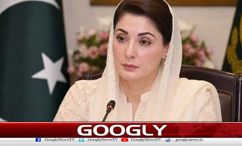 If the provinces work hard for the services of the people, it will be seen, Maryam Nawaz