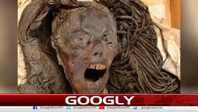 A general solution to the mysterious death of the 3,000-year-old 'Screaming Mummy'