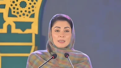 maryam1767872799 0 600x450 1