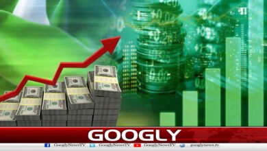 معاشی استحکام کےدعوؤں کےباوجودپاکستانی مالی مشکلات کاشکارنکلے 2 Despite claims of economic stability, Pakistanis face financial difficulties