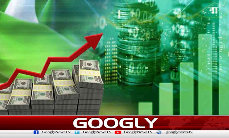 معاشی استحکام کےدعوؤں کےباوجودپاکستانی مالی مشکلات کاشکارنکلے 1 Despite claims of economic stability, Pakistanis face financial difficulties
