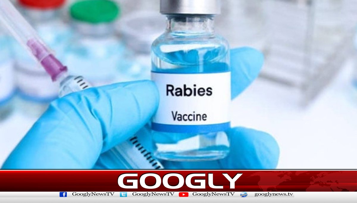  سندھ میں 9 ماہ کے دوران کتےکےکاٹنےسے35 افراد جاں بحق