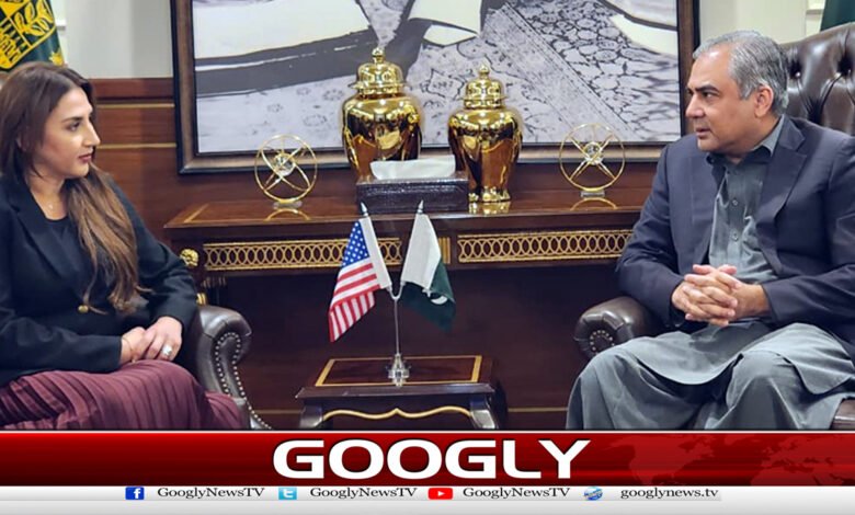 US Ambassador Natalie Baker meets Mohsin Naqvi, discusses important issues
