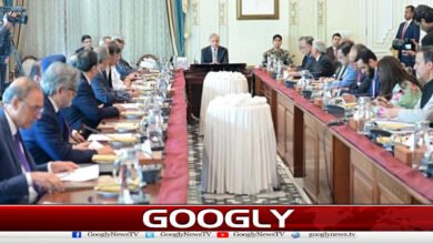 Industrialists and business delegation meets with Prime Minister