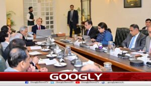 پیٹرول سکیم:وزیراعظم کی سہولت ڈیسک قائم کرنےکی ہدایت