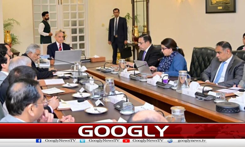 Petrol Scheme: Prime Minister directs to establish a facilitation desk