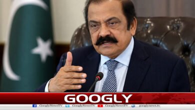 Long March will push PTI back 2 years, says Rana Sanaullah