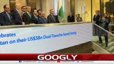 پاکستان نےمعیشت کو مضبوط بنانے کیلئےبہت محنت کی،وزیراعظم 5 Pakistan has worked hard to strengthen its economy, says Prime Minister