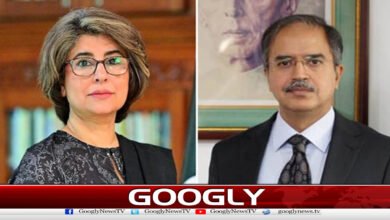 Asim Iftikhar appointed new Foreign Secretary