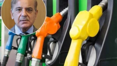 بائیک، رکشا، 800 سی سی تک گاڑیوں کیلئے پیٹرول پر 100 روپے فی لیٹر ریلیف کا اعلان 5 shahbaz petrol1777463901 0 600x450 1
