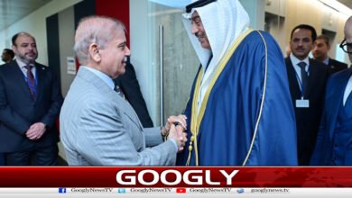 شہباز شریف کی کویت کے ولی عہد سے ملاقات،باہمی امورپرتبادلہ خیال 5 Shahbaz Sharif meets Kuwaiti Crown Prince, discusses bilateral issues
