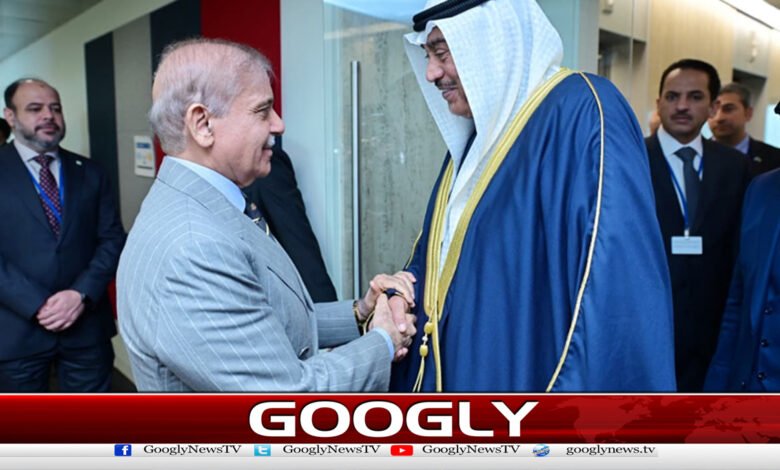 شہباز شریف کی کویت کے ولی عہد سے ملاقات،باہمی امورپرتبادلہ خیال 1 Shahbaz Sharif meets Kuwaiti Crown Prince, discusses bilateral issues