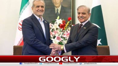 Iranian President meets Prime Minister, discusses important issues