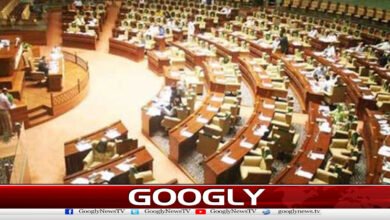 Sindh Local Government Act 2026 passed amid opposition uproar