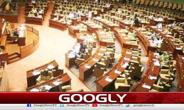 Sindh Local Government Act 2026 passed amid opposition uproar
