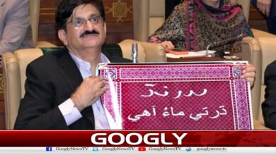 Sindh government sends resolution to federal government against division of province