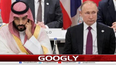 روس نے سعودی عرب اور حوثیوں کے مابین ثالثی کی پیشکش کردی 2 Russia offers to mediate between Saudi Arabia and the Houthis