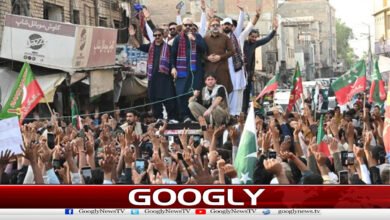 The people of Sindh are only with Imran Khan, Sohail Afridi