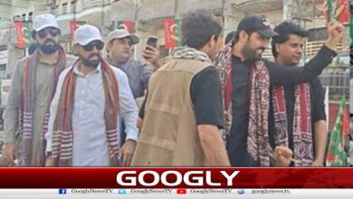 Zardari, Bhutto or Sharif are not mentioned in the name, says Sohail Afridi