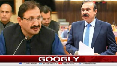 There will be zero tolerance for the PTI following Junaid Akbar's statement: Tariq Fazal.