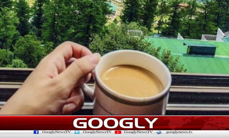 Hot tea declared dangerous for the digestive tract