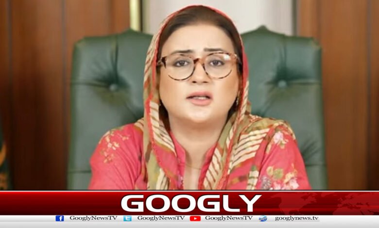 Why has Maryam Nawaz's statement on terrorism caused a storm? Uzma Bukhari
