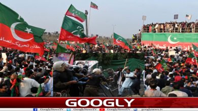 گرفتاریوں کا خطرہ، PTI کے احتجاجی مارچ کی قیادت کون کرے گا؟ 2 website Googly 103
