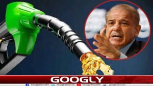 پٹرول پر 100 روپےلٹرڈسکاؤنٹ،بحران کا عارضی حل یا حقیقی ریلیف؟