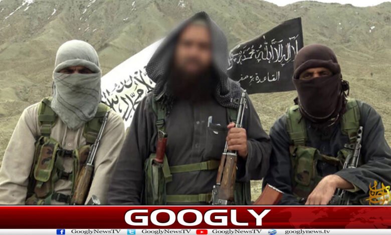 9/11 کے 25 سال بعد افغانستان میں القاعدہ پھر سرگرم،تربیتی کیمپ بھی بنا لئے 1 website Googly 139