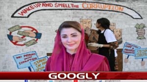 کرپشن مخالف کارروائیاں، پنجاب حکومت بڑے مگرمچھوں پر ہاتھ ڈالنے سے گریزاں کیوں؟