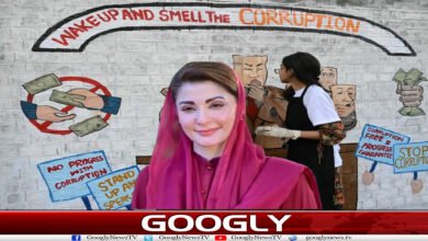 website Googly 16