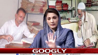 مریم نواز کی پنجاب حکومت نے اچانک 3ہزار پٹواری کیوں بدل دئیے؟ 2 website Googly 168