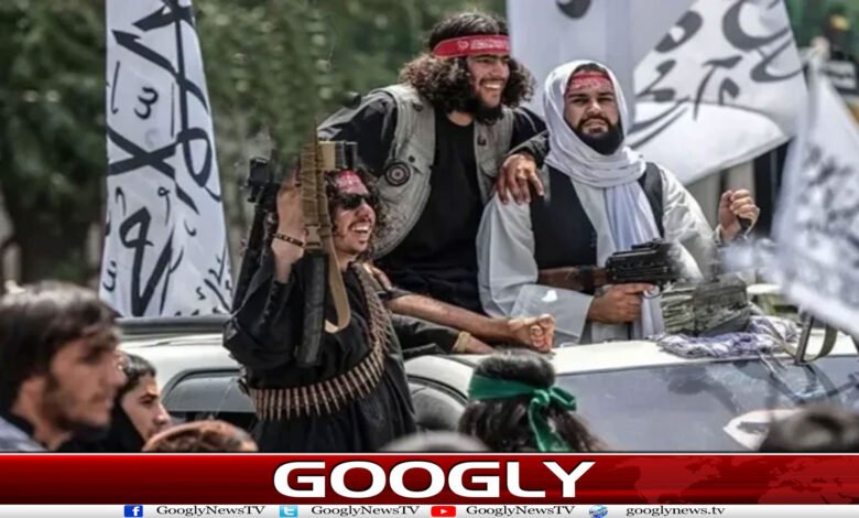 website Googly 189