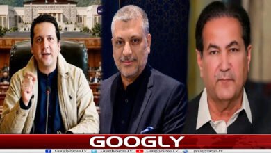 website Googly 19