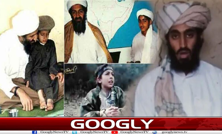 website Googly 193