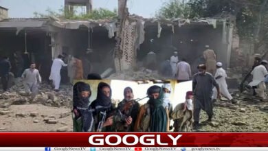 website Googly 198