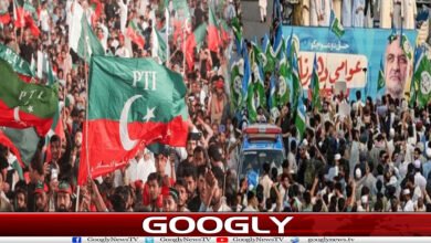 PTI کا احتجاج، جماعت اسلامی کا دھرنا، حکومت کیلئے اصل چیلنج کیا؟ 2 website Googly 202
