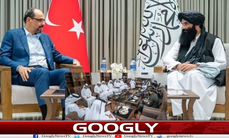 ترکی اور قطر کی سفارتی کوششیں،کیا پاک افغان تعلقات کی بحالی ممکن ہے؟ 1 website Googly 203