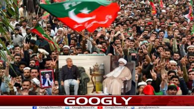website Googly 211